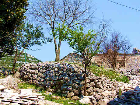 Nakovana